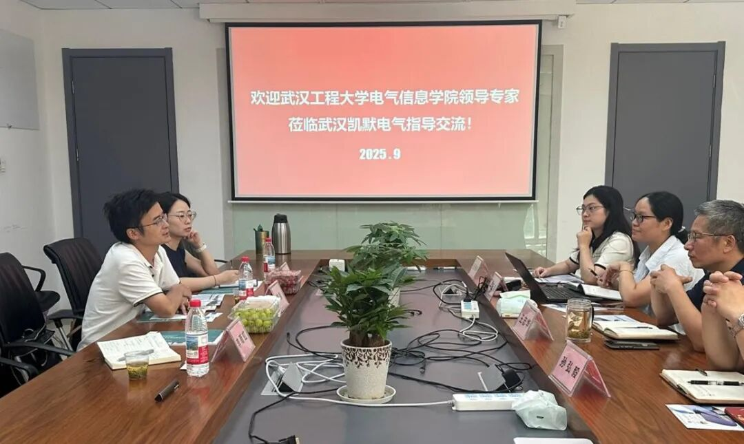 武漢工程大學電氣信息學院領導蒞臨凱默電氣調研交流